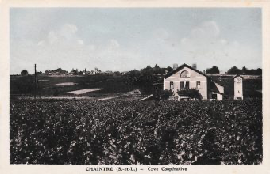 Content Timeline Image